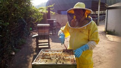 Hannah in a bee suit